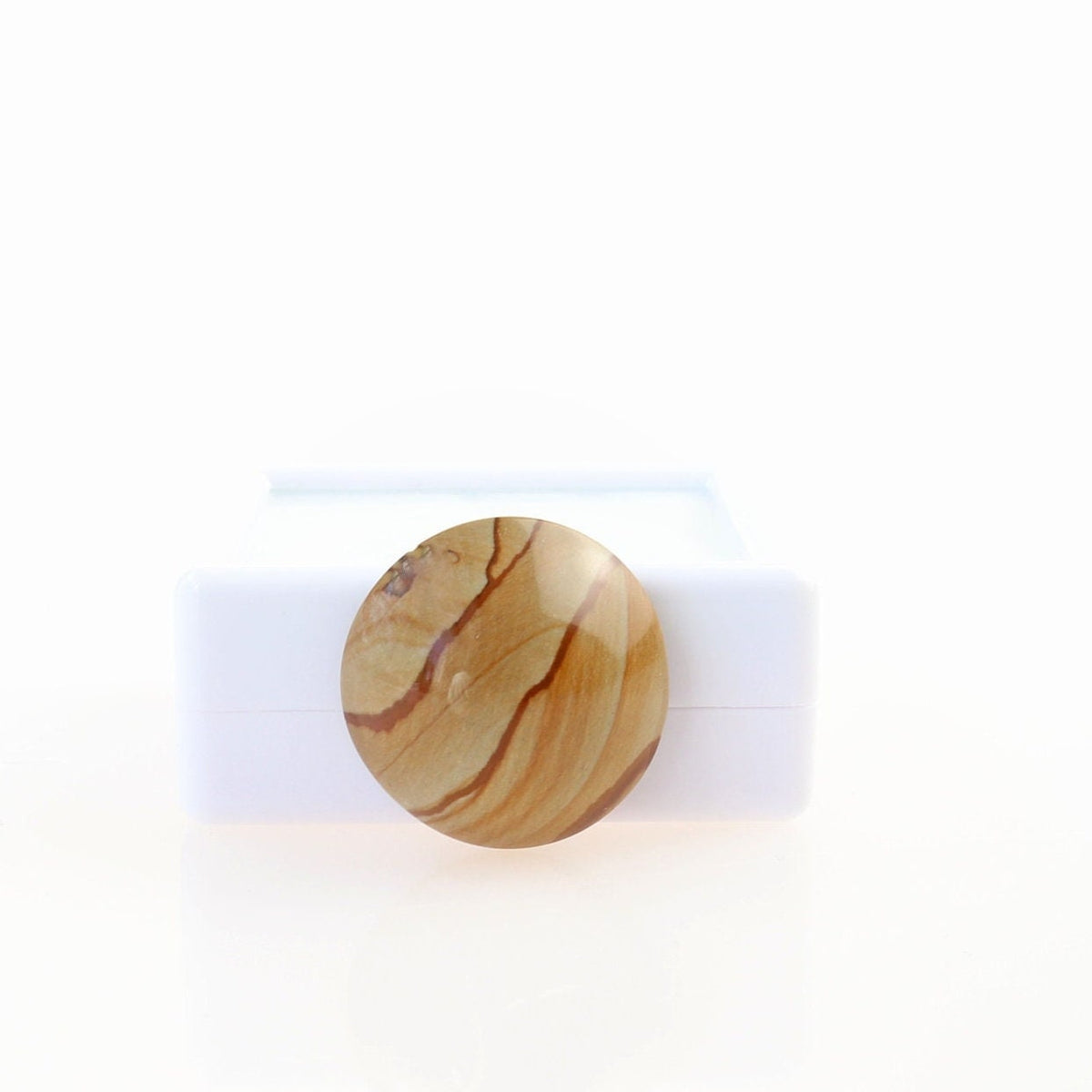 Hand-cut Picture Jasper round cabochon with natural tan and brown landscape-like banding, standing against white gem box and displayed on a clean white background.