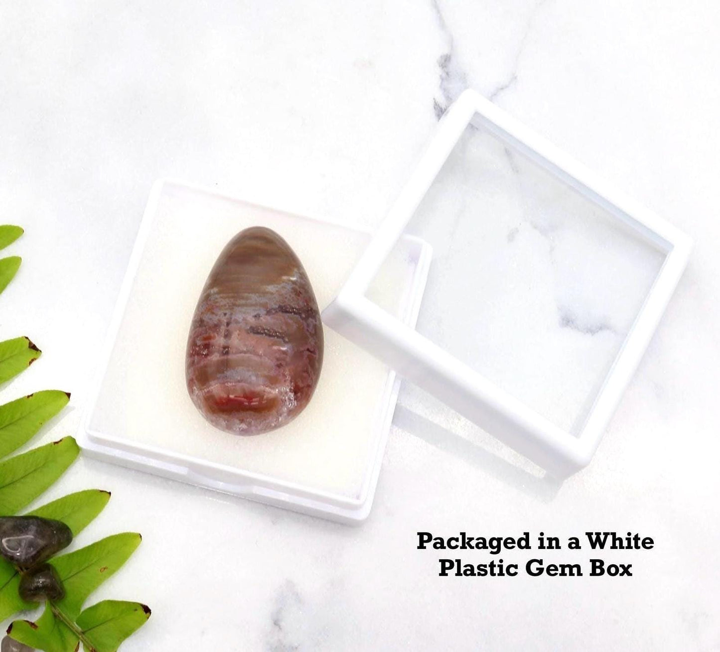 Arizona Petrified Wood Cabochon – 36mm Handcut Focal Stone