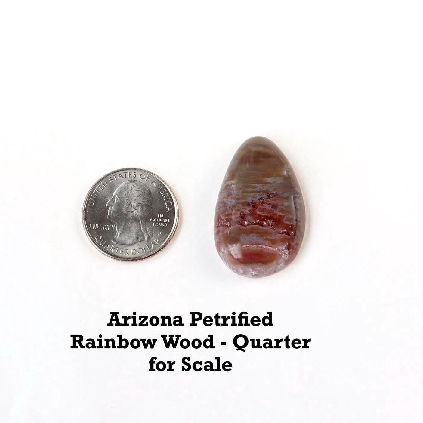 Arizona Petrified Wood Cabochon – 36mm Handcut Focal Stone