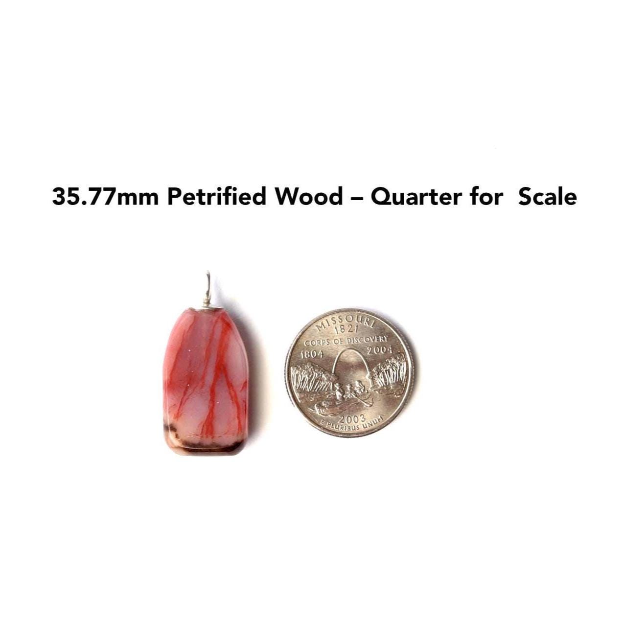 Handcrafted Arizona Petrified Rainbow Wood pendant with 935 Argentium® Silver bail, 35.77mm long. Shown beside a quarter for scale. Features natural capillary-like patterns.