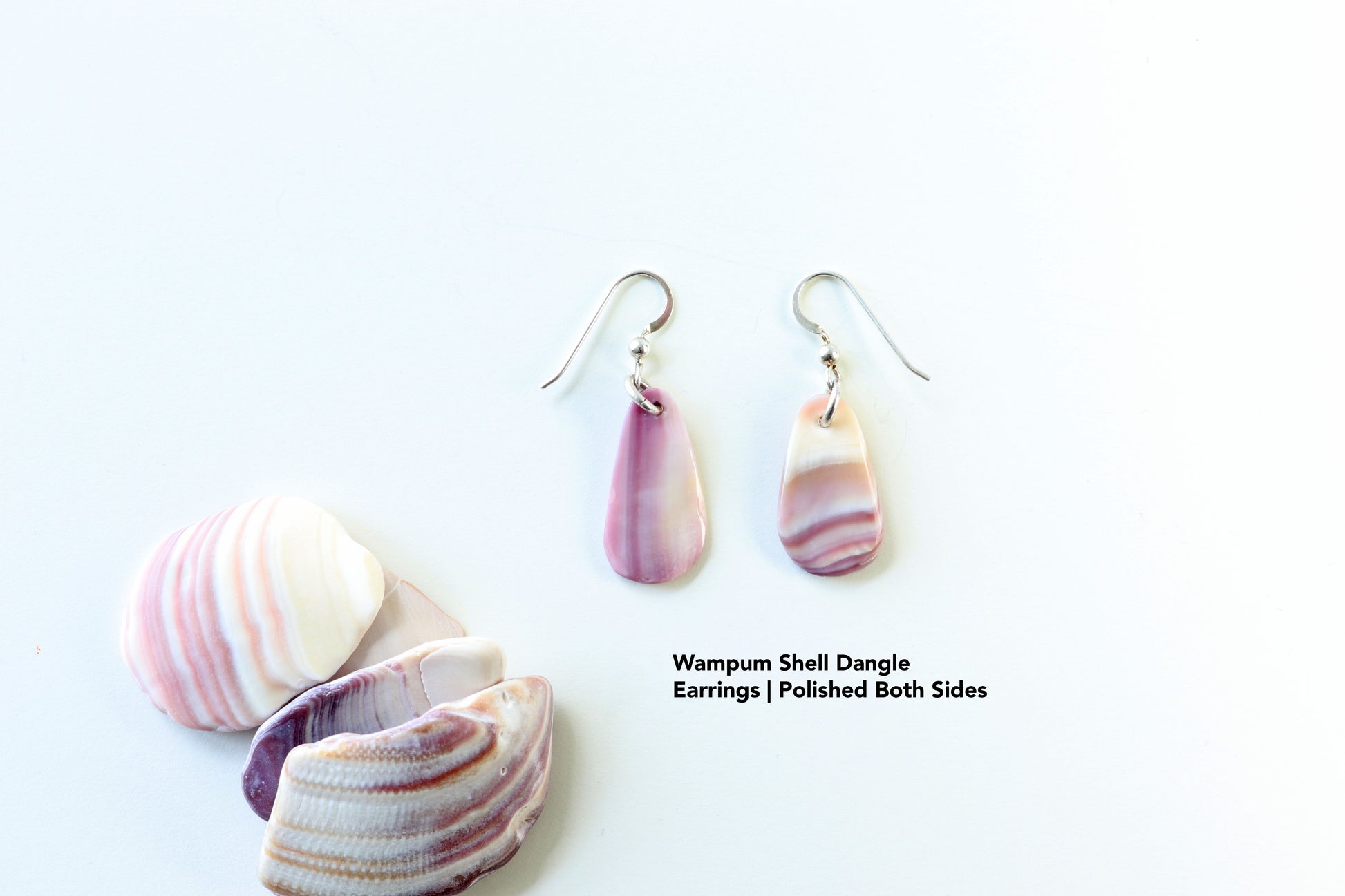 Wampum earrings made from Quahog shells shown with raw shell pieces on white background, displaying polished reverse side next to Quahog shells.