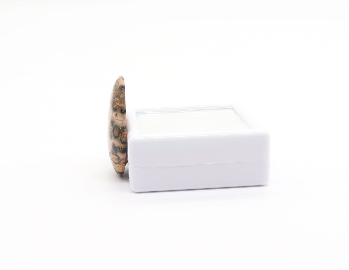 A side view of this polished Leopard Skin Cabochon with tan, brown, cream, gray and black spotted patterns specimen standing upright next to a small white square gem box on a white background.