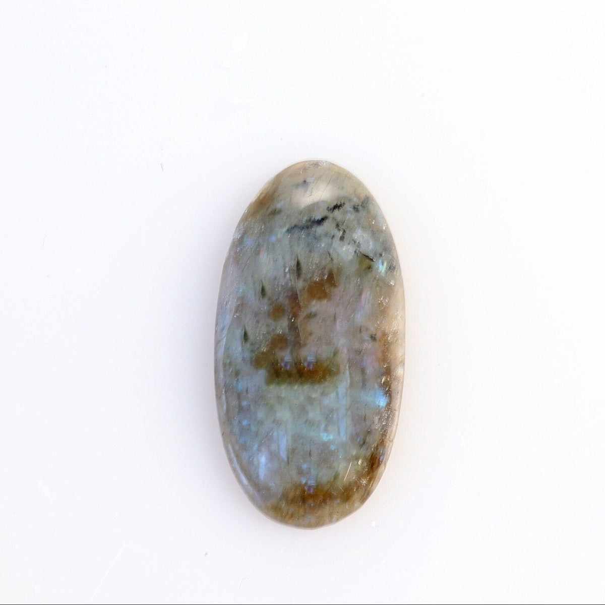 Natural Labradorite elongated oval cabochon with blue teal flash shown on white background.