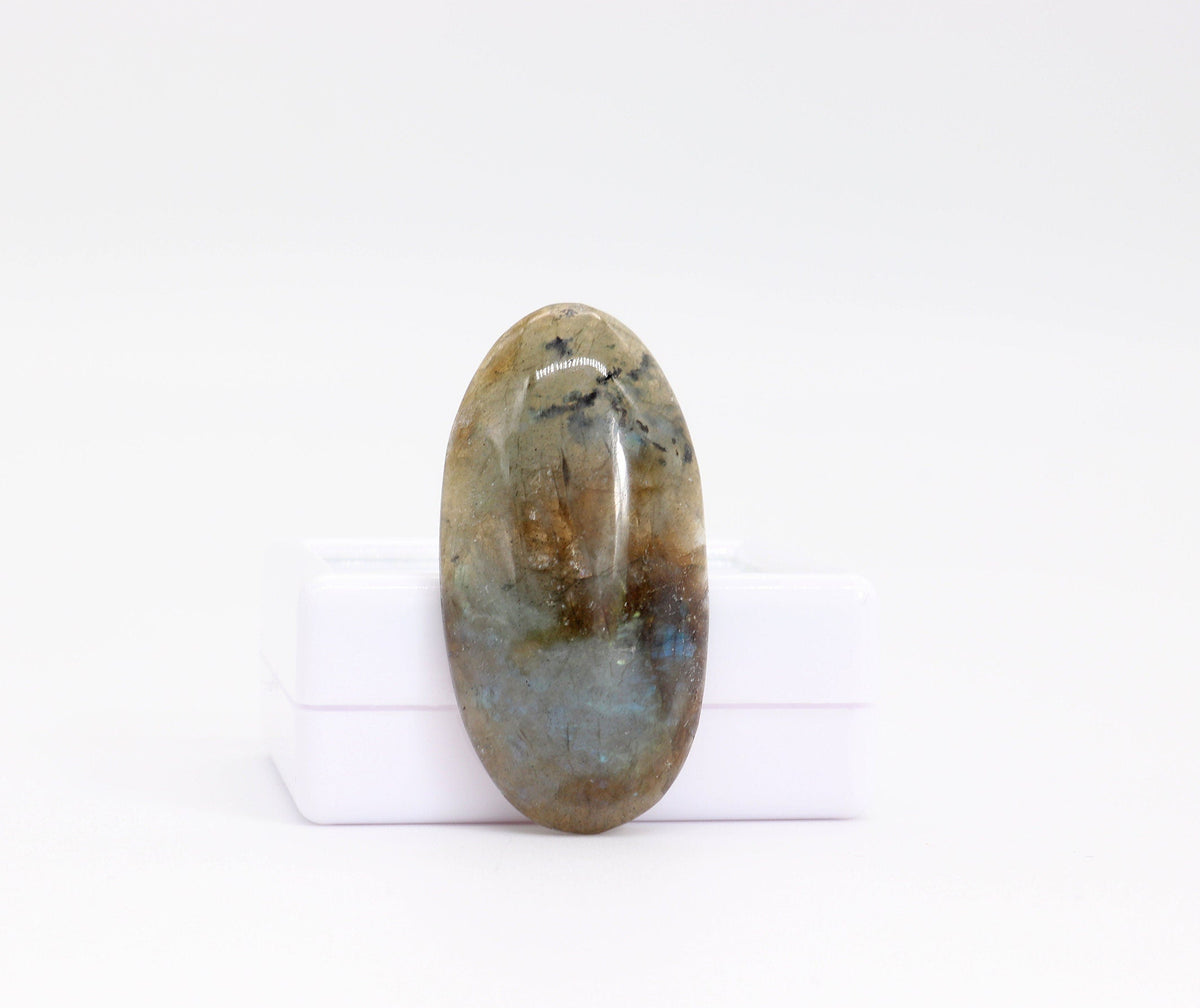 Natural Labradorite elongated oval cabochon with blue teal flash standing against white gem box shown on white background. 