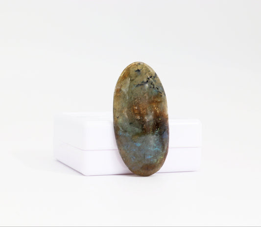 Natural Labradorite elongated oval cabochon with blue teal flash standing against white gem box shown on white background. 
