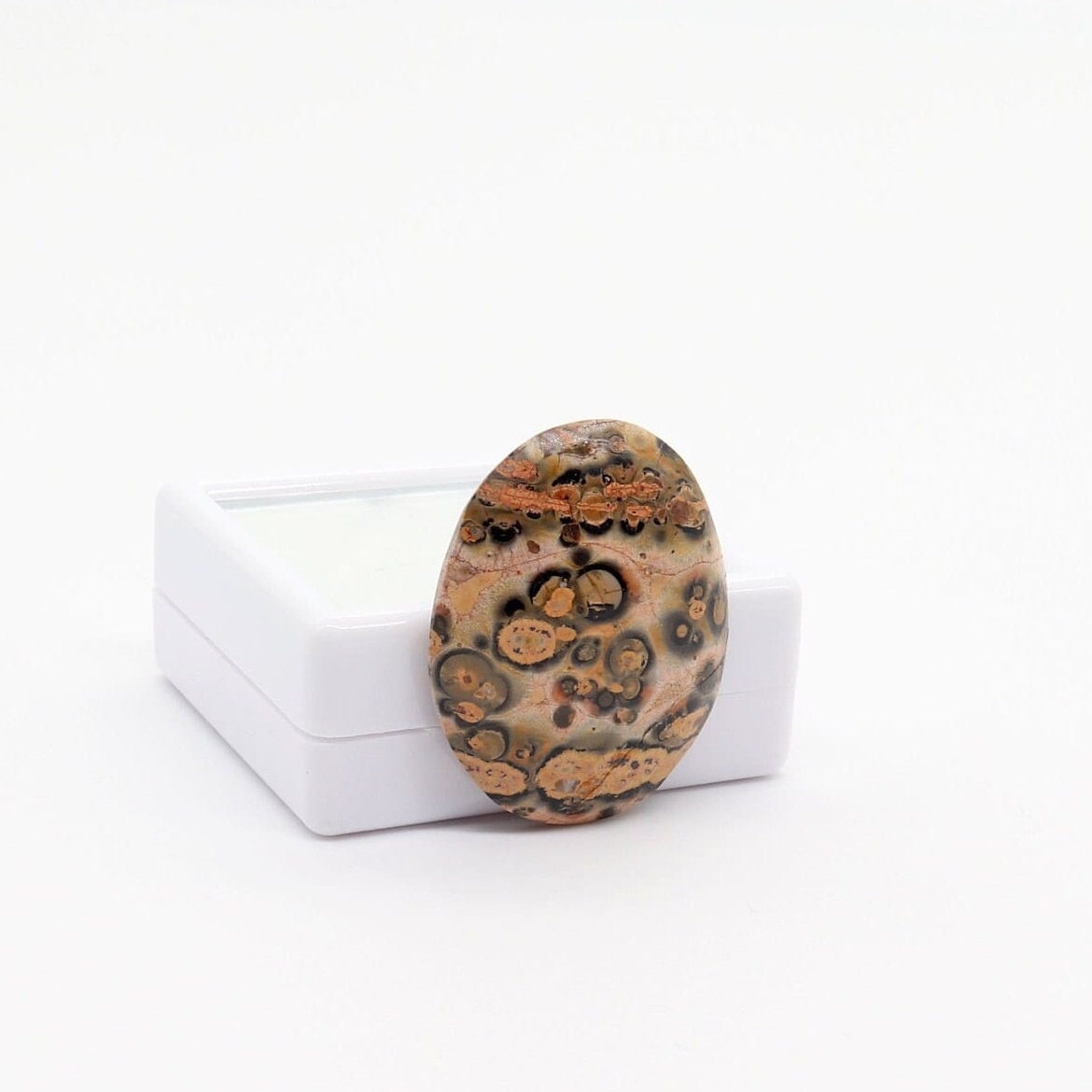 Hand-cut oval Leopard Skin Jasper cabochon with tan, brown, cream, gray and black spotted patterns shown against a white gem box on white background.