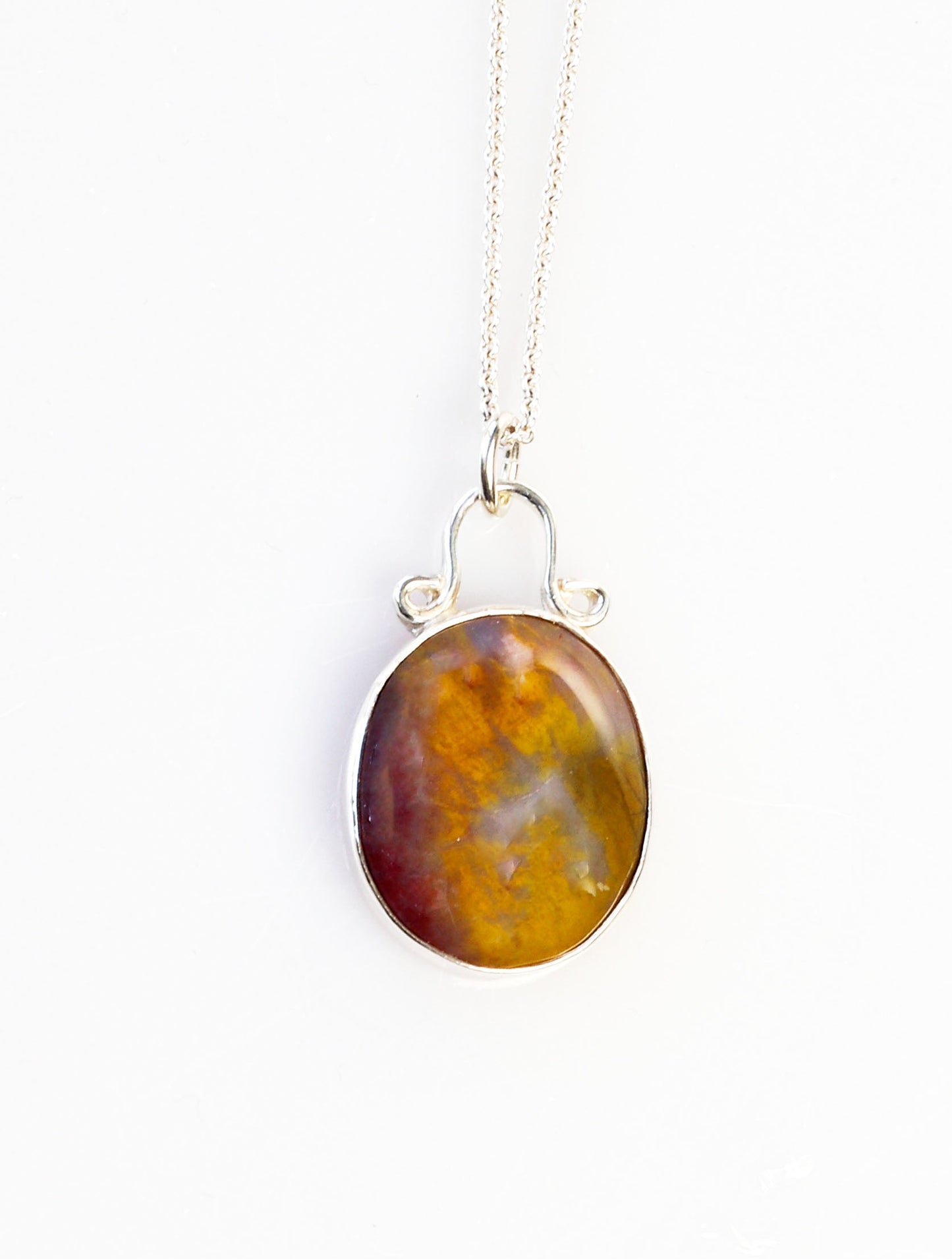 A Petrified Rainbow Wood pendant set in Argentium silver and shown with the included 1.7 Argentium necklace chain against a white background.