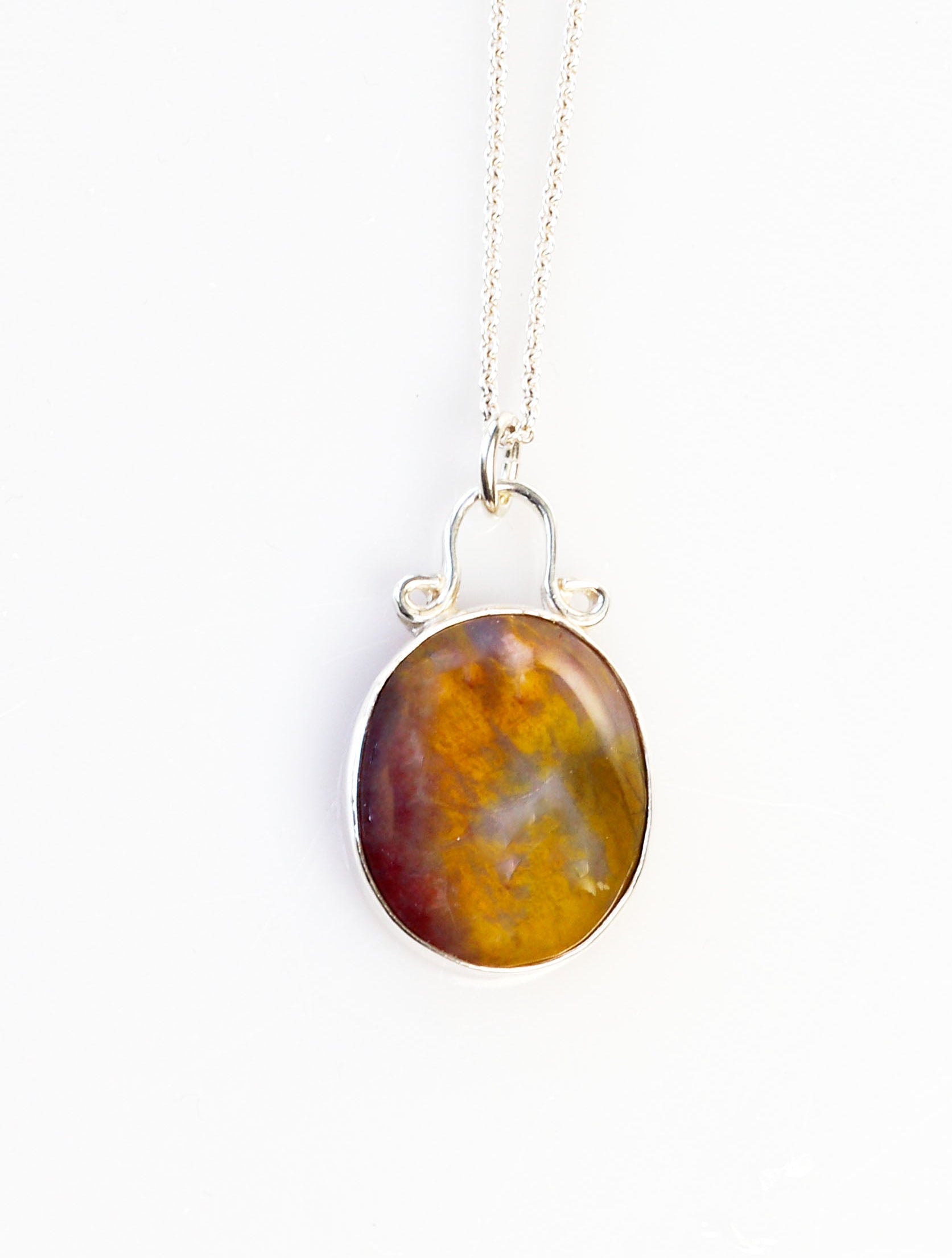 A Petrified Rainbow Wood pendant set in Argentium silver and shown with the included 1.7 Argentium necklace chain against a white background.