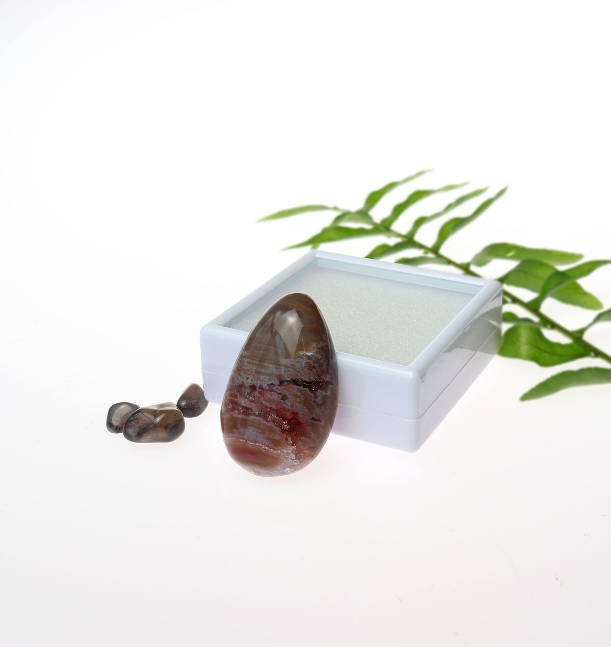 A polished Petrified Rainbow Wood with colors of brown and red and a crystal inclusion with natural banding, displayed next to a small white box and three smaller stones, with green leaves in the background on a white surface.