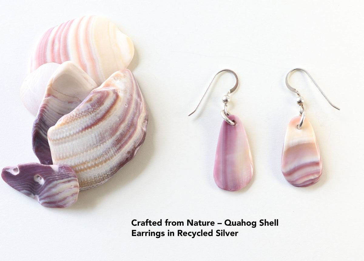Natural Quahog shell dangle earrings with lavender, purple and cream banding and Argentium silver ear wires shown next to natural Quahog shells—known for soft lavender and cream tones. 