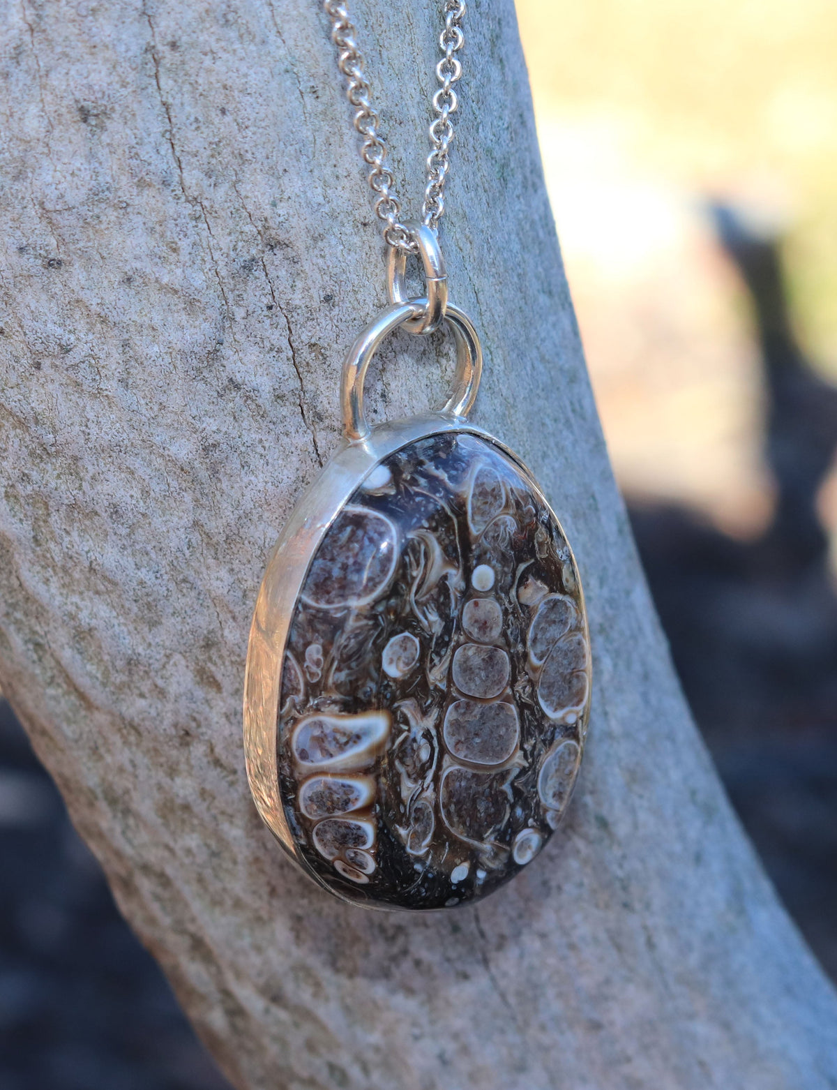 Natural Turritella Agate fossil pendant in Argentium 935 Silver with silver chain hanging from an elk antler outdoors.