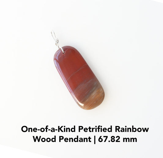 Petrified Rainbow Wood Pendant Necklace, Argentium® Silver, 18" Chain