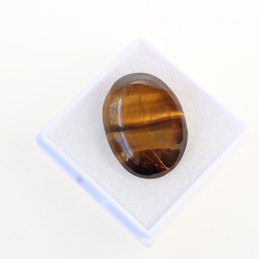 A hand-cut and polish natural Tiger's Eye cabochon with golden-brown banding and chatoyancy, displayed on a white gem box shown against a white background.