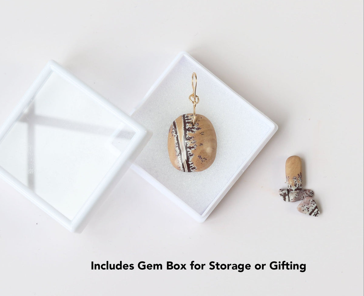This Natural Sonoran Dendritic Rhyolite | Gold Filled Custom Bail shown on white background with  clear-top gem storage case included for safe keeping or gifting, with text reading 'Includes Gem Box for Storage or Gifting'.