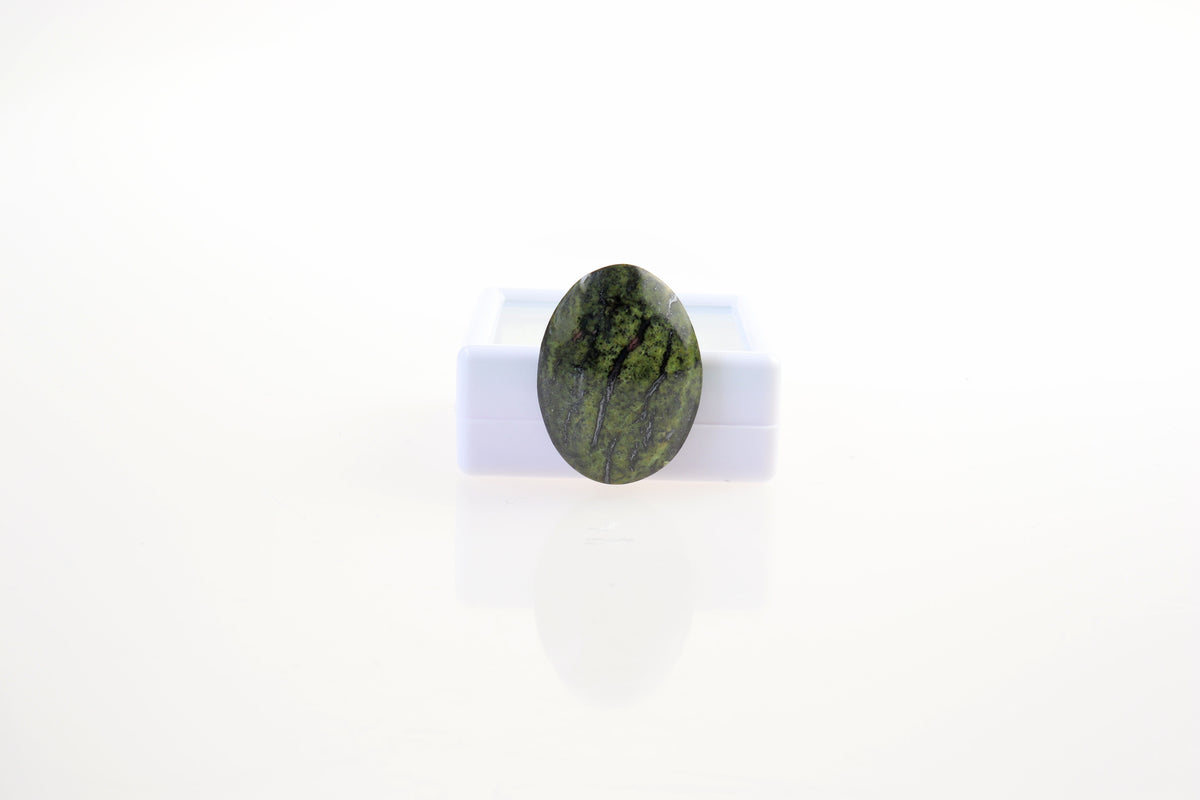An oval-shaped green Forest Green Jasper stone cabochon with natural dark veining, displayed on a small white plastic stand against a bright white background.