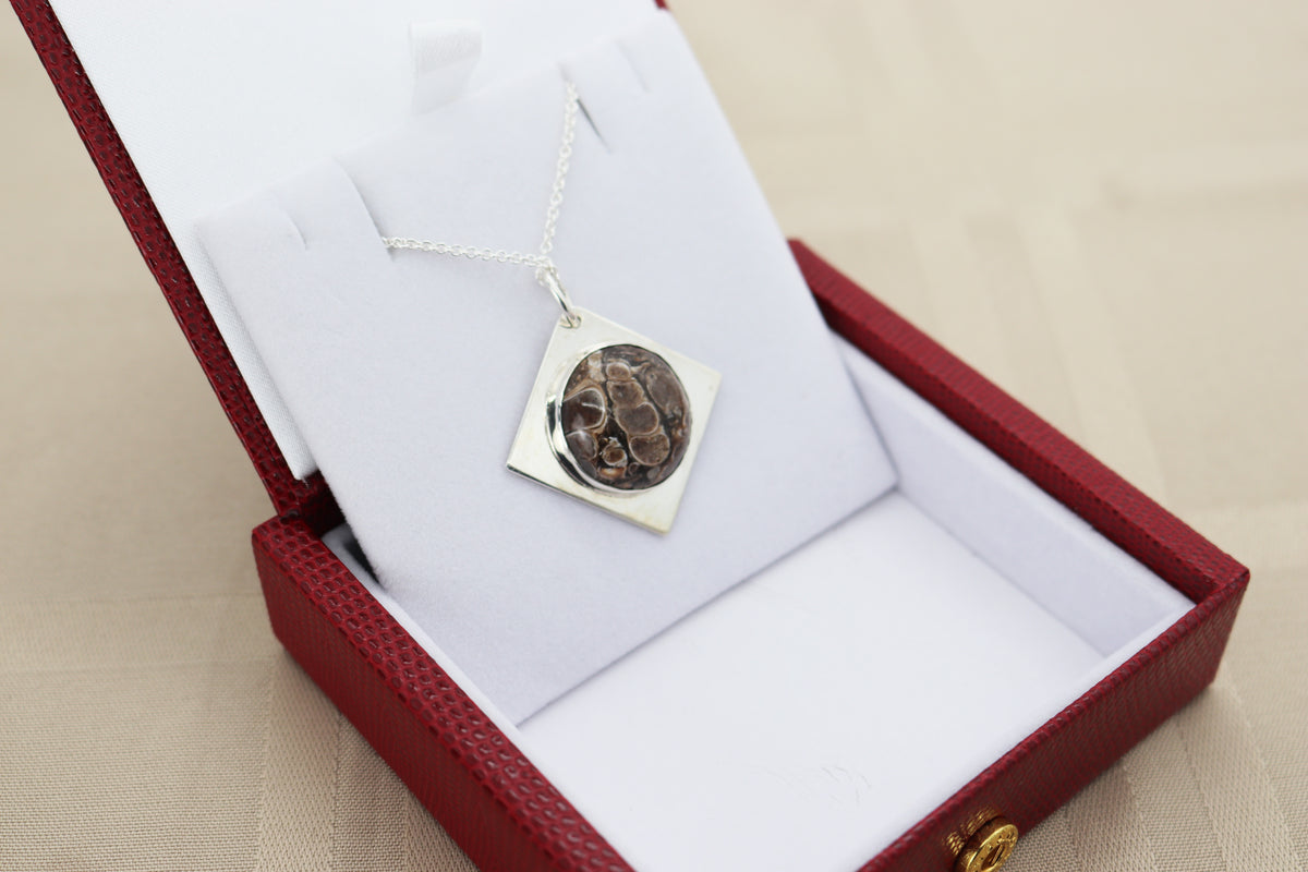ANatural Turritella Agate fossil pendant in Argentium 935 Silver with Argentium silver chain. Shown in a red faux leather gift box with gold snap trim.

