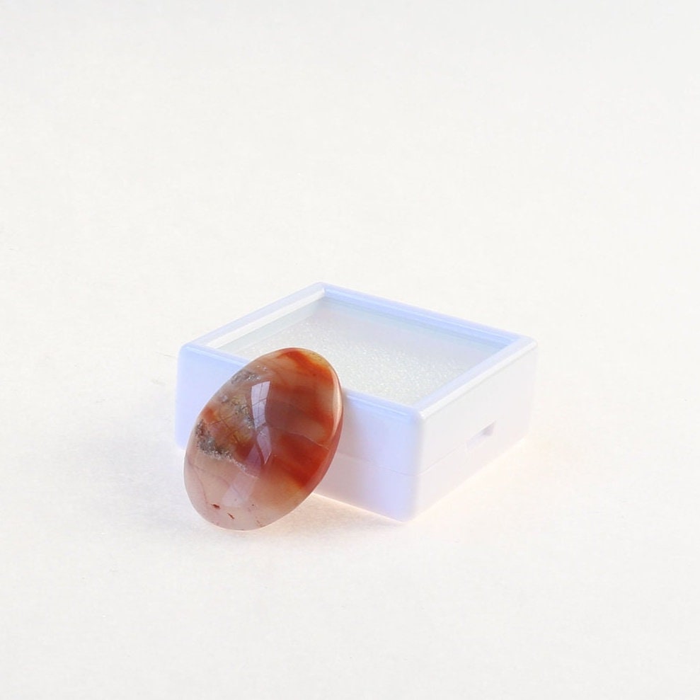 Sold - Arizona Petrified Wood Cabochon - Unique Oval Shape for DIY Jewelry, 28mm