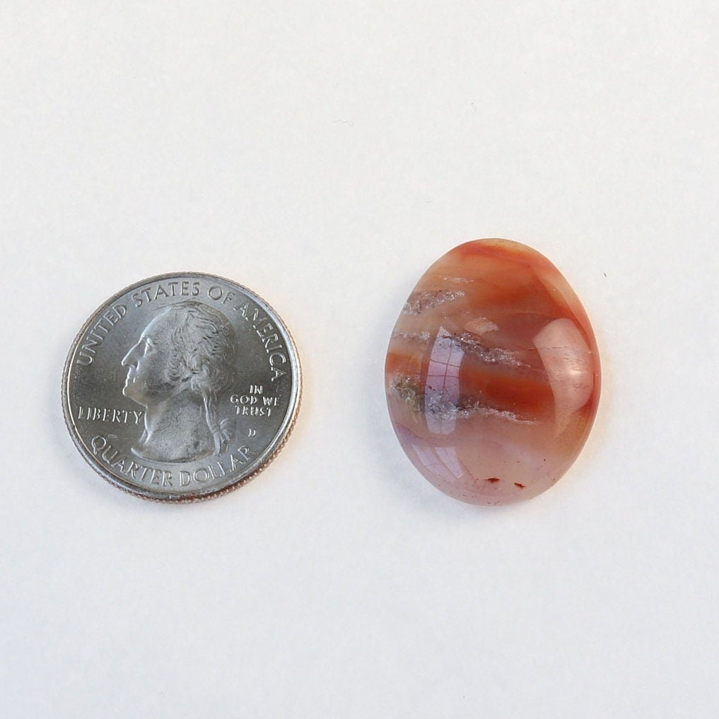 Sold - Arizona Petrified Wood Cabochon - Unique Oval Shape for DIY Jewelry, 28mm
