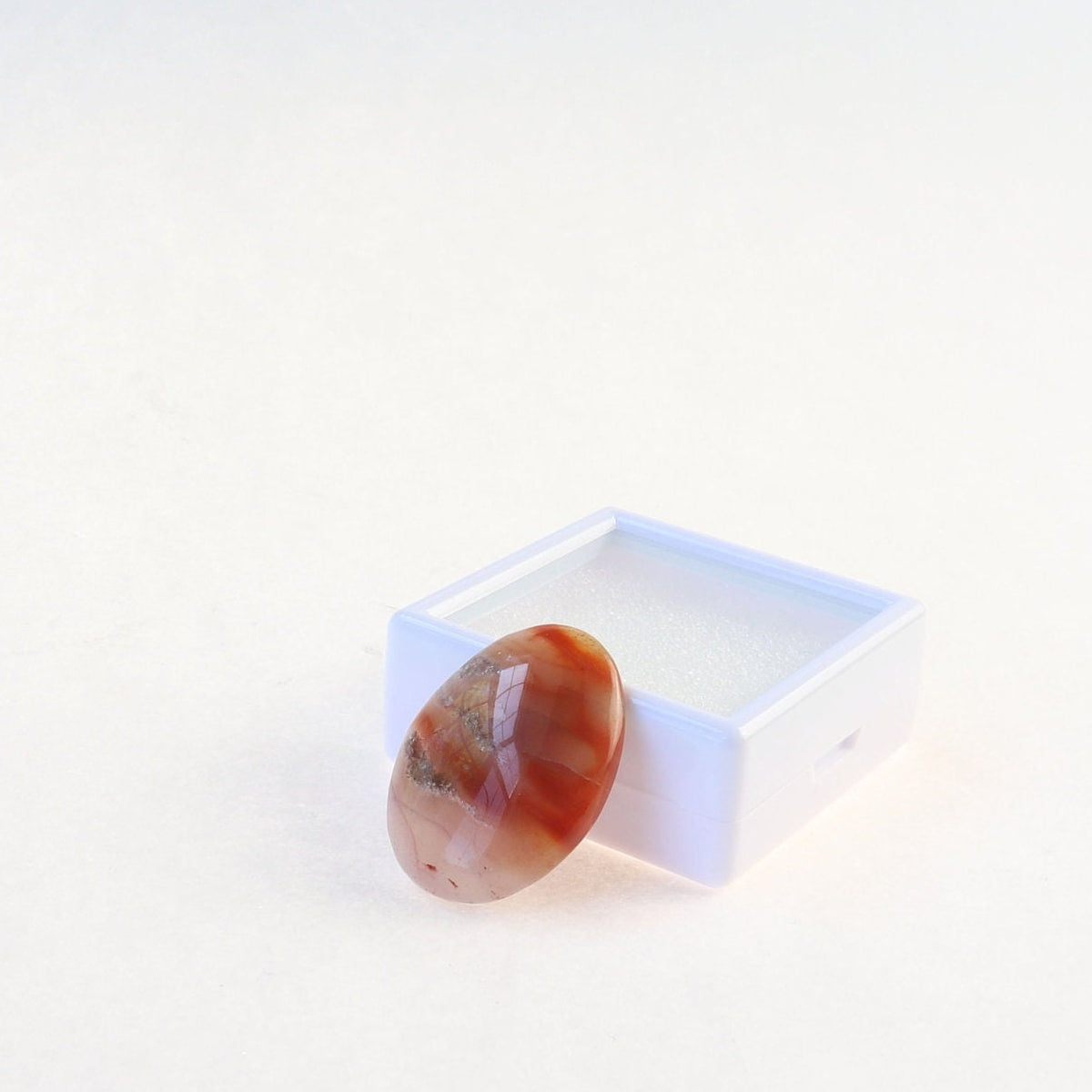 Sold - Arizona Petrified Wood Cabochon - Unique Oval Shape for DIY Jewelry, 28mm