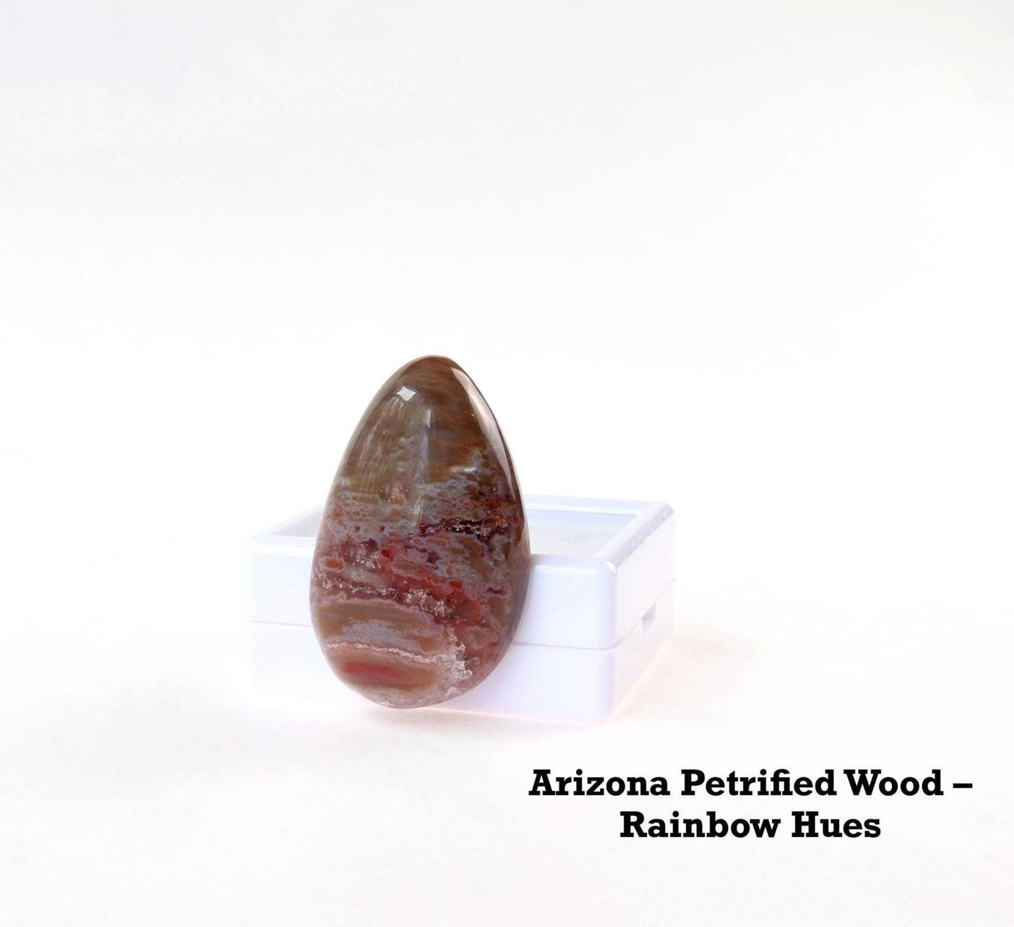 Arizona Petrified Wood Cabochon – 36mm Handcut Focal Stone
