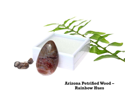 Arizona Petrified Wood Cabochon – 36mm Handcut Focal Stone