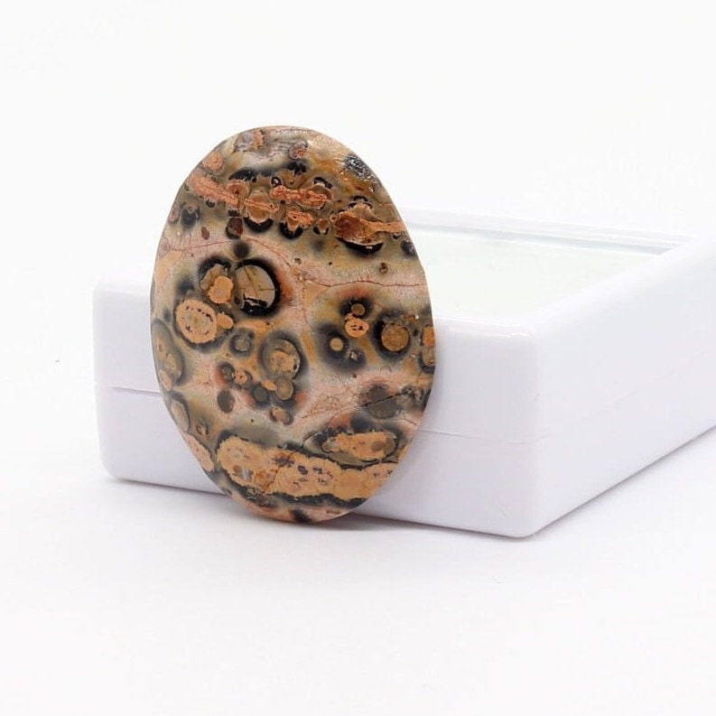 Hand-cut oval Leopard Skin Jasper cabochon with tan, brown, cream, gray and black spotted patterns shown at left angle standing against a white gem box on white background.