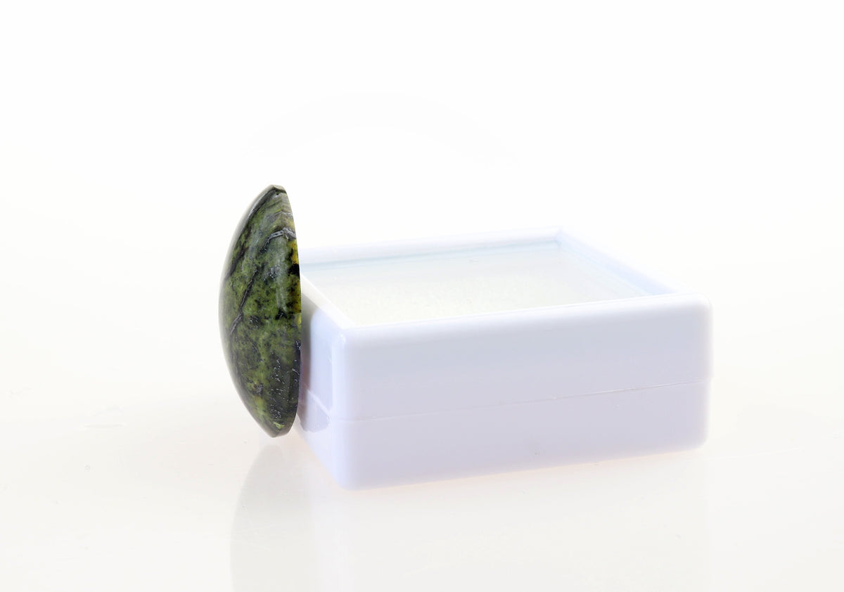 A polished green Forest Green Jasper stone cabochon with dark inclusions, displayed on a small white plastic stand against a seamless white background.