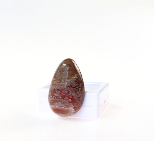 A polished teardrop-shaped Petrified Rainbow Wood stone cabochon with natural brown, red, and cream banded patterns, displayed on a small white block against a white background.