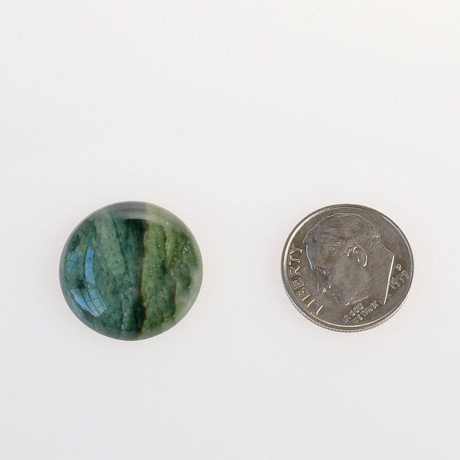 Arizona iizard stone cabochon polished with flat back shown next to U.S. dime for size scale shown on white background.
