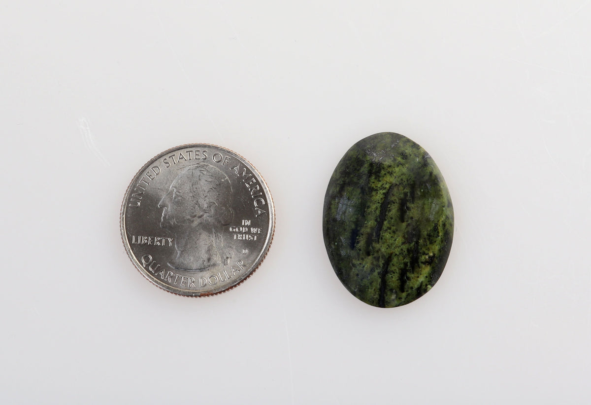 A small oval Forest Green Jasper stone cabochon placed next to a US quarter for scale, on a plain white background.