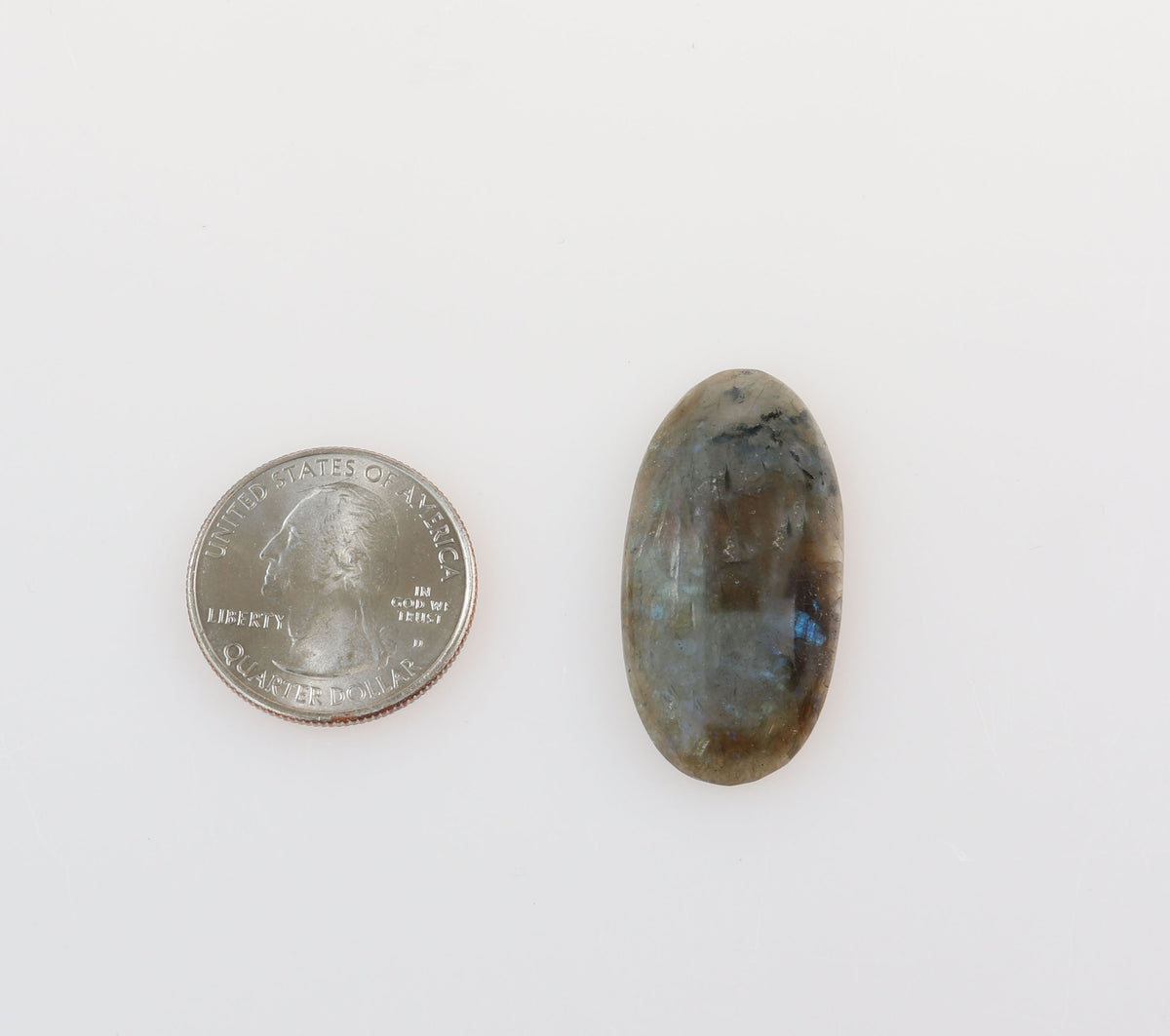 A polished oval labradorite gemstone displayed next to a US quarter for scale, on a clean white background.