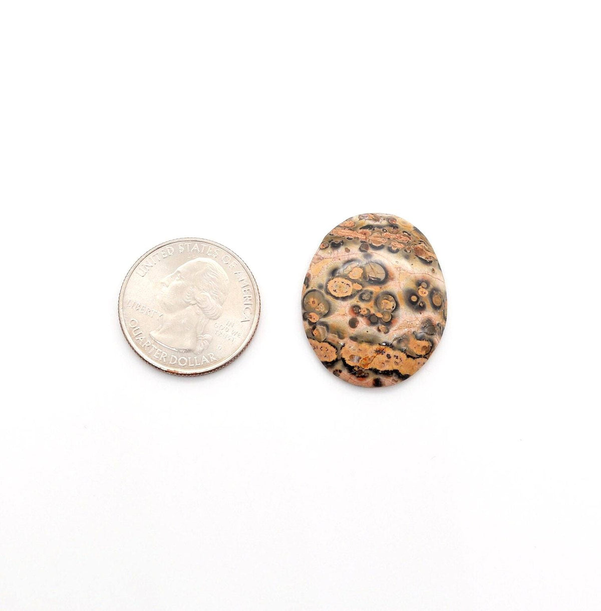Hand-cut oval Leopard Skin Jasper cabochon with tan, brown, cream, gray and black spotted patterns next to U.S. quarter for scale and shown on white background.