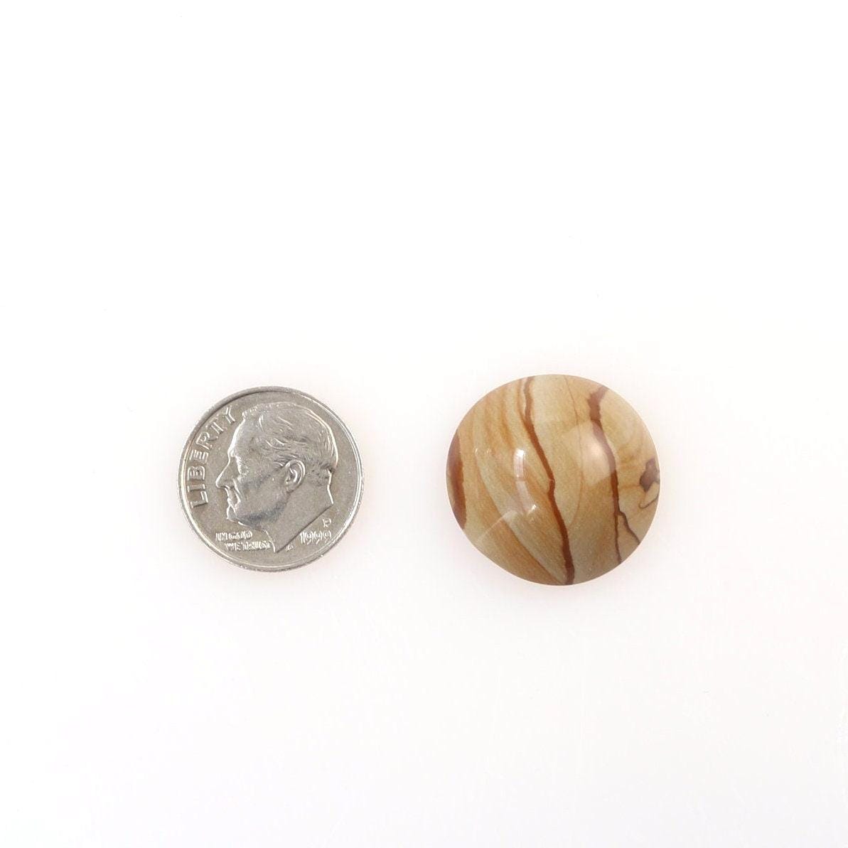 Round Picture Jasper cabochon with natural tan and brown landscape-like banding next to U.S. dime for scale on a white marble slab on white background. 