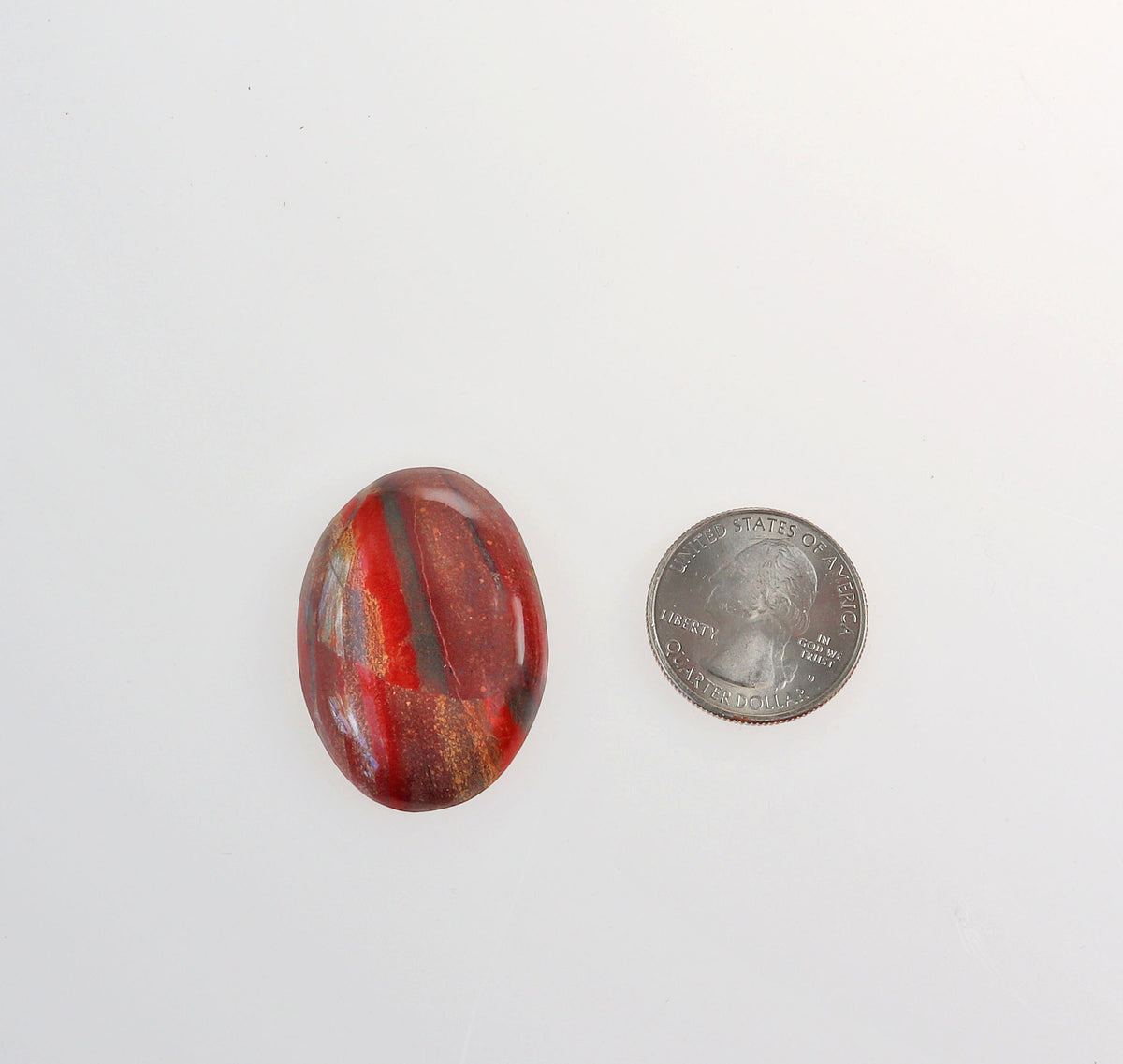 A polished Snakeskin Jasper cabochon with rich red and rust tones, accented by earthy brown, golden cream, and subtle gray areas shown next to a US quarter coin for scale, on a plain white background.