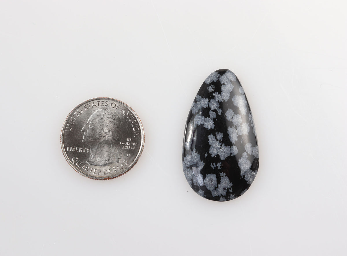 A polished teardrop-shaped Snowflake Obsidian a black stone with white cloud-like inclusions, shown next to a US quarter for scale on a plain white background.