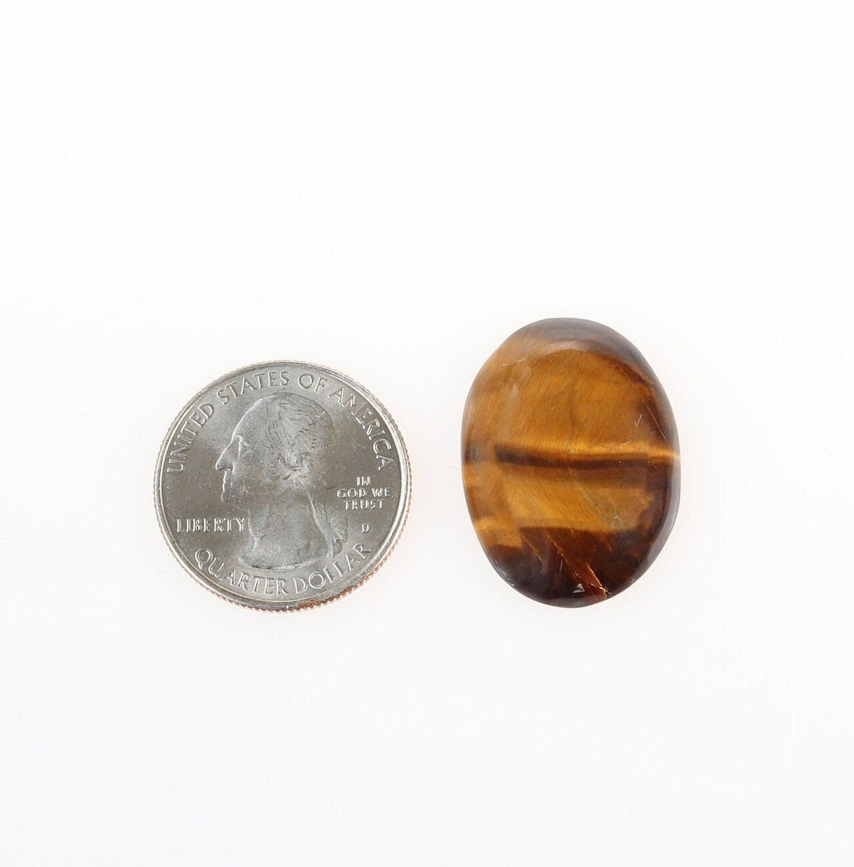 Natural Tiger's Eye cabochon shown beside a U.S. dime for size comparison, displaying golden-brown banding and chatoyancy.
