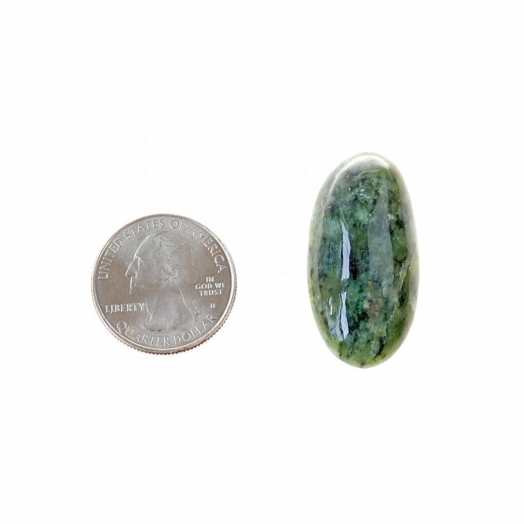 A polished Wyoming Jade cabochon with natural marbling, shown next to a US quarter coin for scale on a plain white background.