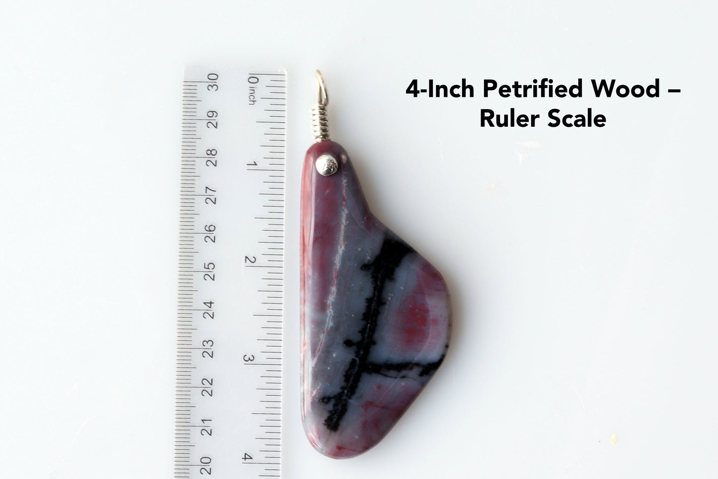 A 4 inch Petrified Wood Pendant red and black patterns shown next to ruler for scale.