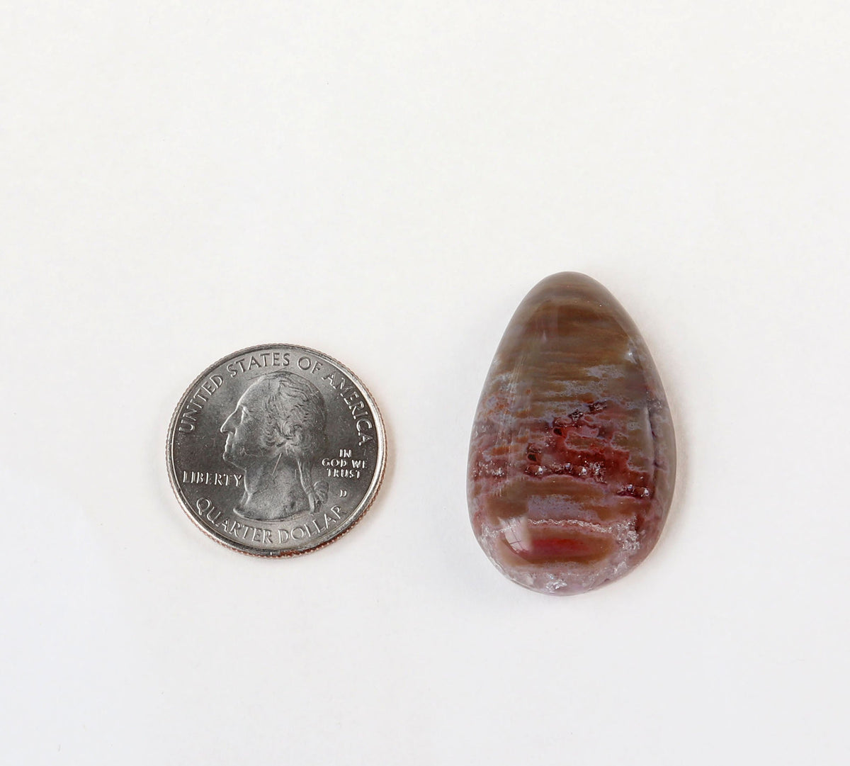 A teardrop-shaped polished Petrified Rainbow wood gemstone with brown, red, crystal inclusions and gray banded patterns, shown next to a US quarter for scale on a plain white background.