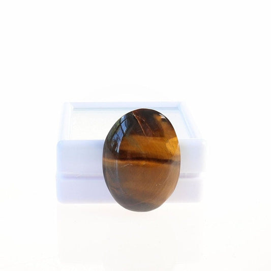 Hand-cut and polished natural Tiger's Eye cabochon with golden-brown banding and chatoyancy, displayed against a white gem box.
