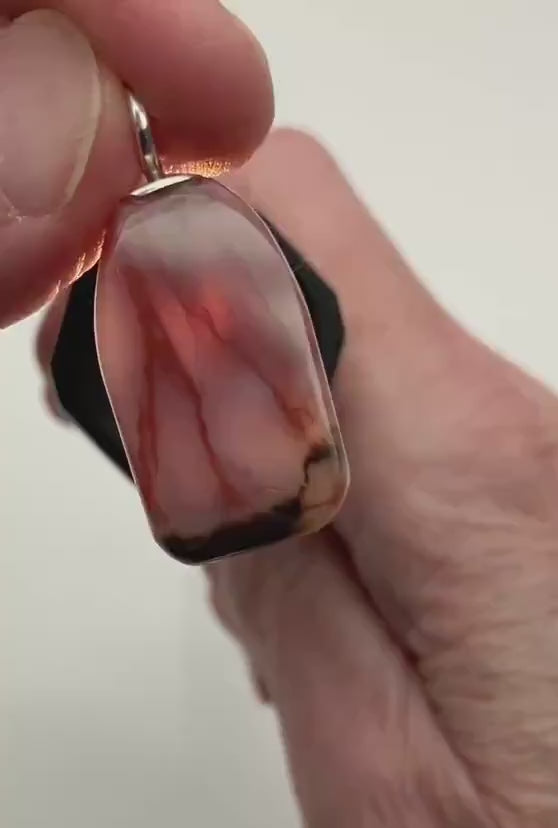 Petrified Wood Pendant Video clip showing the translucent features and reversible side of pendant.