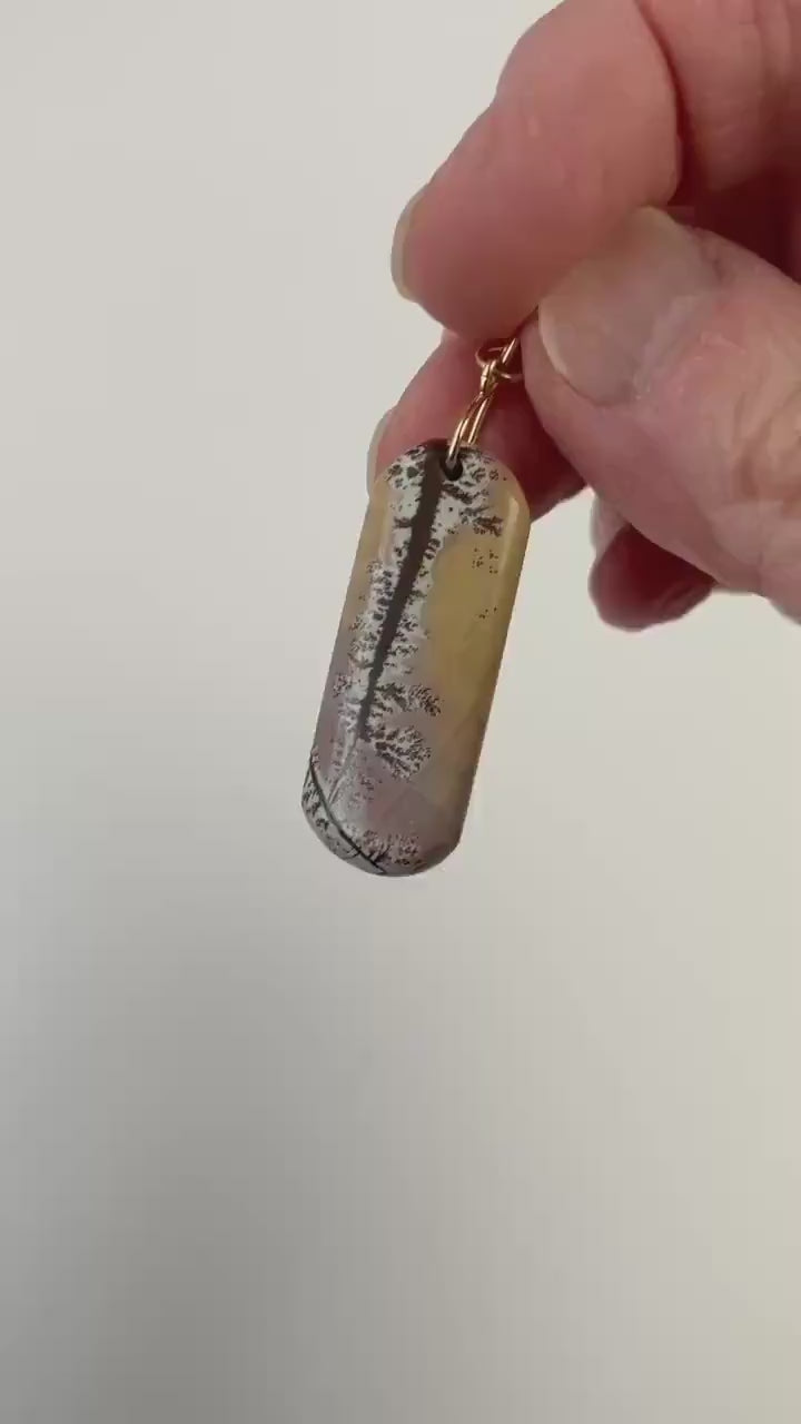 A demo clip of this sonoran dendritic rhyolite pendant with gold-filled bail against white background.