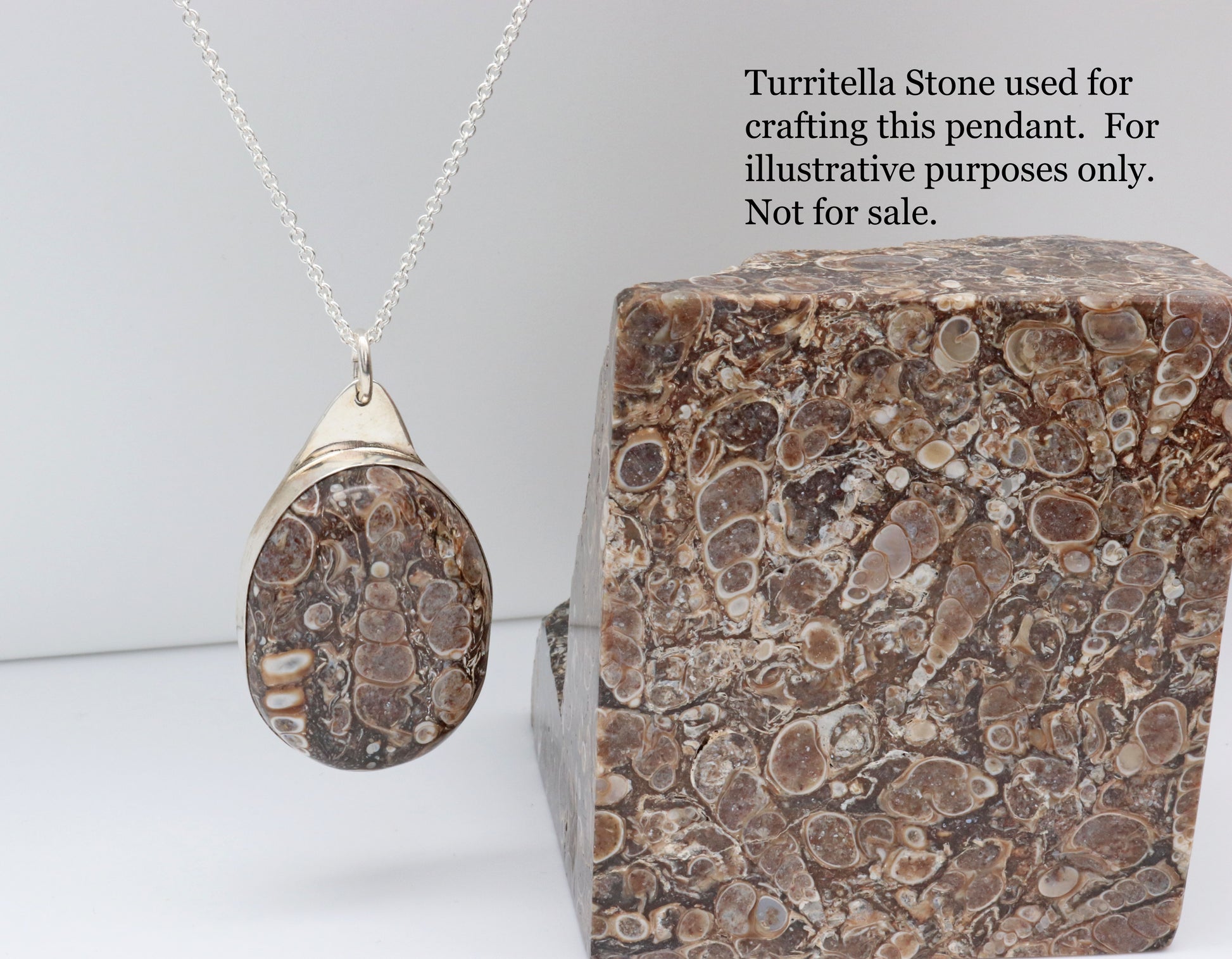 This 1.87 inch Turritella Agate pendant has been handcut and polished in our Missouri USA studio to showcase the intricate patterns of these perfectly preserved fossilized snails originating from the Green River Formation of Wyoming. It's elegantly encased within a solid, oval flat-back bezel made of sterling Argentium® 935 Silver.  The Turritella shown was used to craft the pendant and is shown for illustrative purposes only and is not for sale.