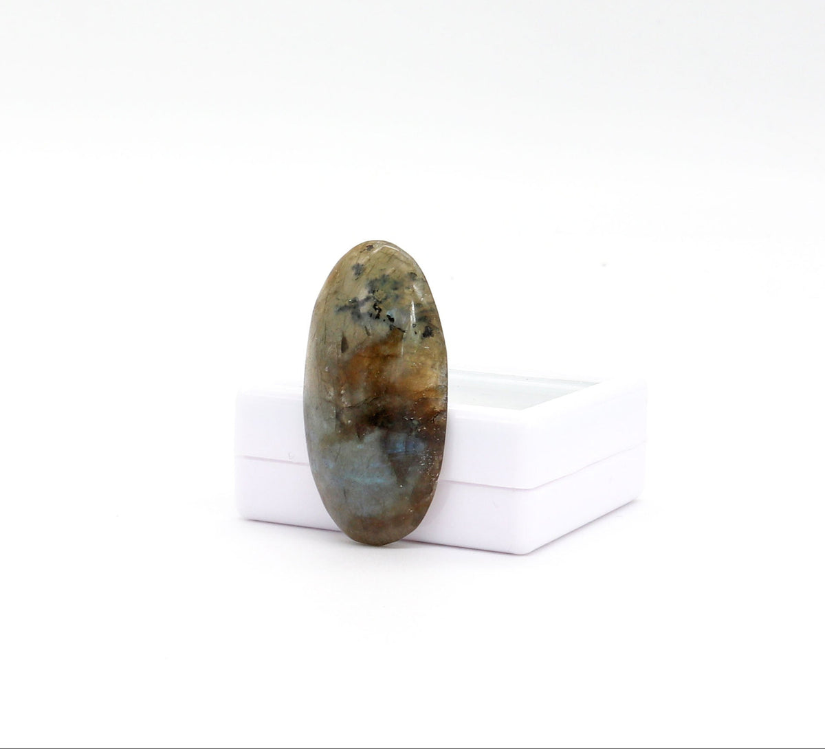 Natural Labradorite elongated oval cabochon with blue teal flash standing at right angle against white gem box shown on white background. 