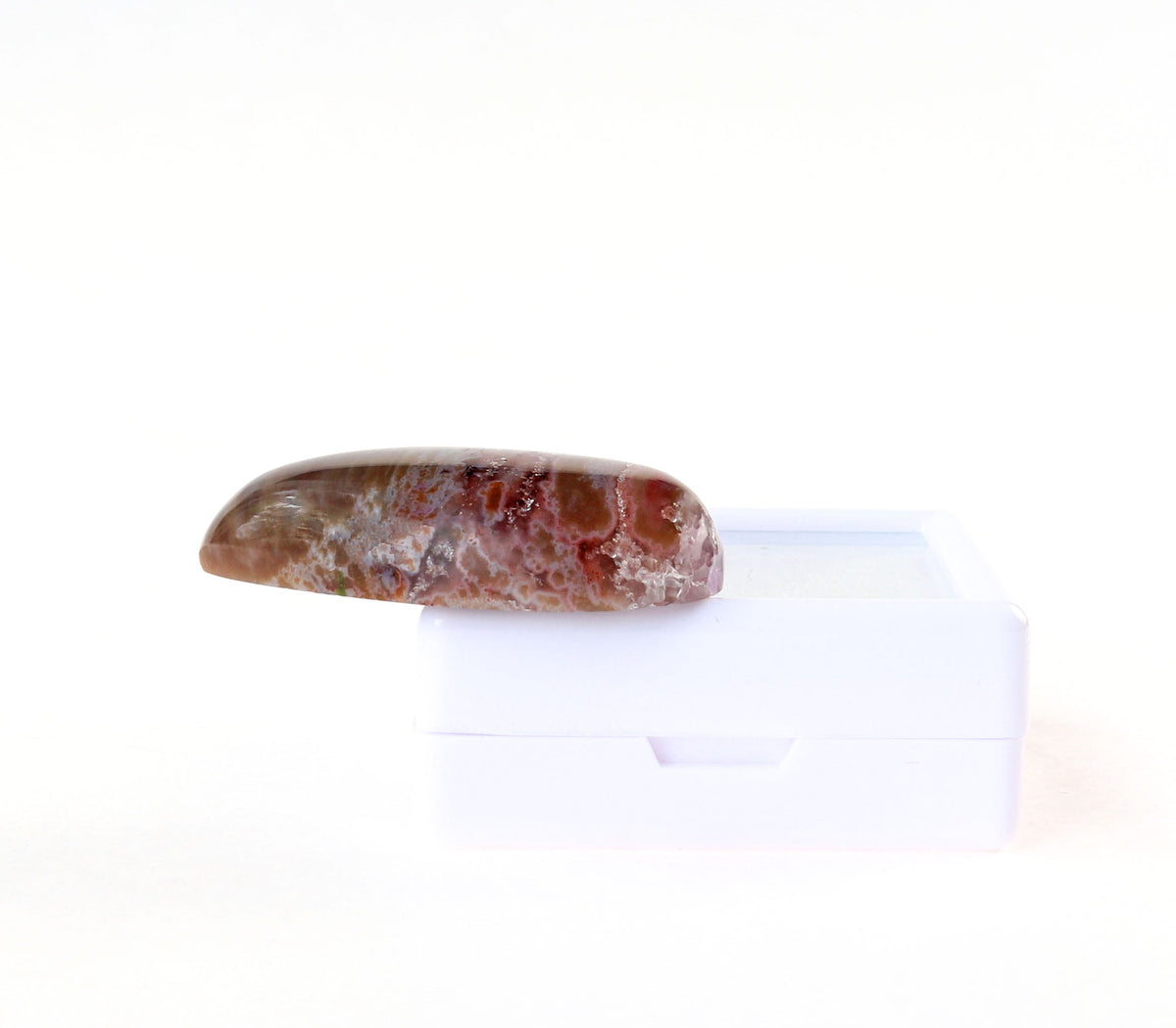 A side view of a polished Petrified Rainbow Wood reddish-brown stone with crystal inclusions and natural marbling rests on top of a small white rectangular display box against a plain white background.